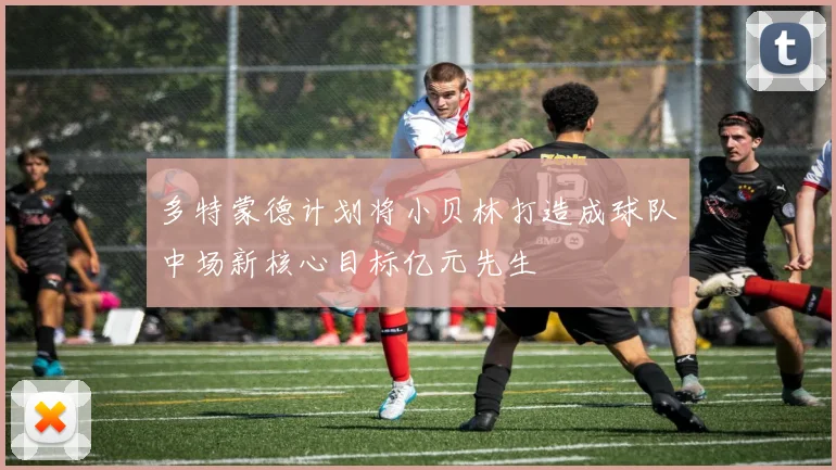 多特蒙德计划将小贝林打造成球队中场新核心目标亿元先生
